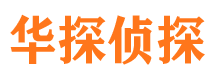 加查市私家侦探